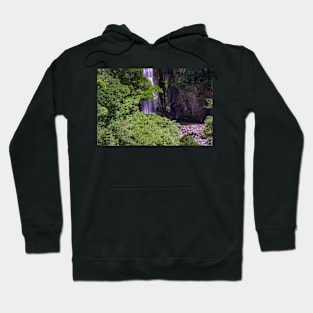 Philippine Waterfalls Hoodie